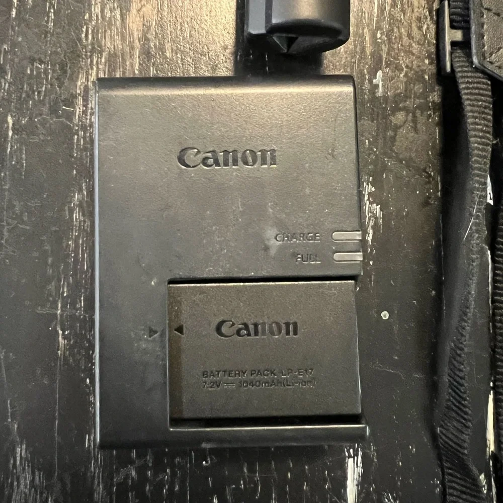 Canon EOS RP with mount adapter, two lenses, gimbal, and strap